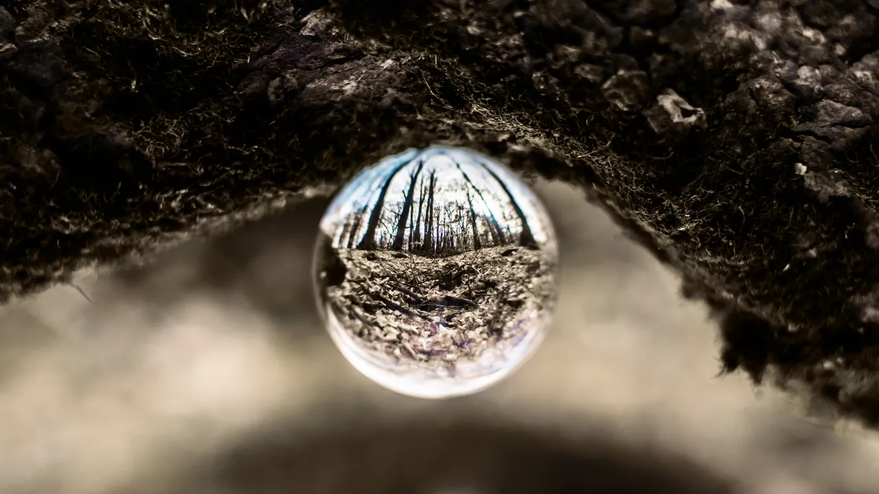 You Don’t Need a New Offer — You Need Better Focus, image 1